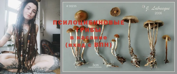 винт Балахна