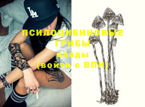 винт Балахна