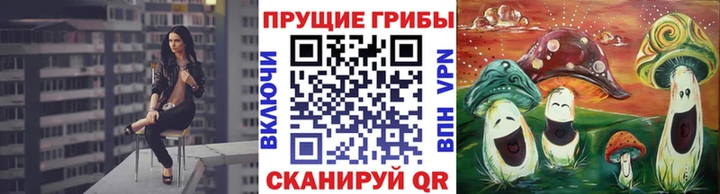 Купить  Михайловка  Галлюциногенные грибы GOLDEN TEACHER 
